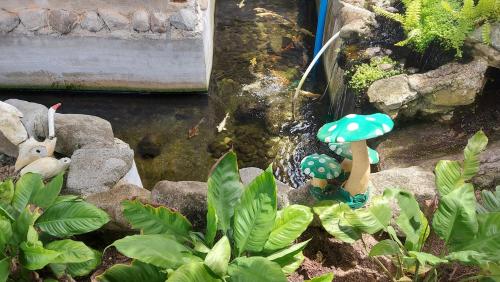 a miniature garden with a pond and a mushroom at Gardenview Homestay Siargao in General Luna