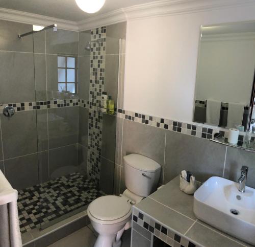 a bathroom with a toilet and a sink and a shower at Pelican Lodge Guesthouse in Sedgefield