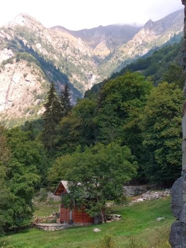 a small house in a valley with mountains in the background at Baita del noce in Mollia