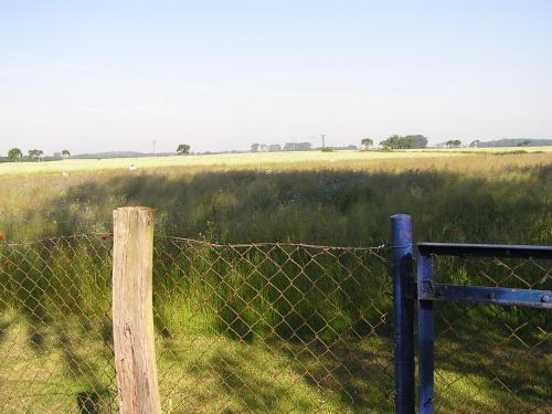 a fence in a field next to a field with at Peeneurlaub in Lassan