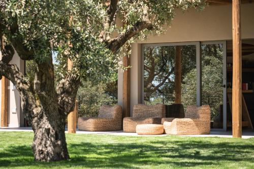 Zahrada ubytování Hang Loose Cottage Hotel & Resort 4 stelle Gizzeria Calabria