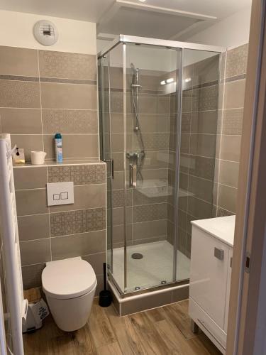 une salle de bain avec une douche, des toilettes et un lavabo dans l'établissement Studio Ptilou B36 2/4 pers. avec vue, à Saint-Étienne-en-Dévoluy