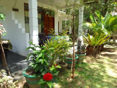 Κήπος έξω από το Freedom Home Stay