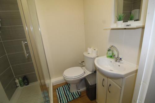 a bathroom with a toilet and a sink and a shower at Annex at 29B St Ann's in Rotherham