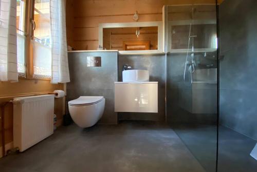 La salle de bains est pourvue de toilettes, d'un lavabo et d'une douche. dans l'établissement Dom Numer 3, à Zakopane