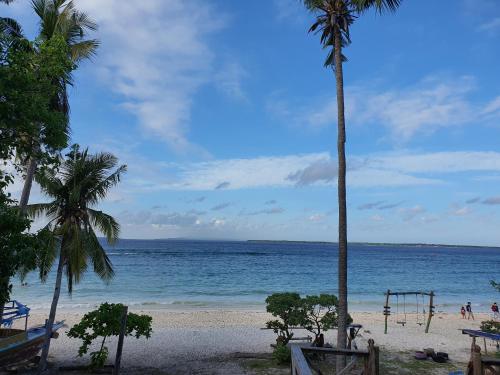 a beach with palm trees and a swing at Scuba Republic Beach Bungalows in Bira
