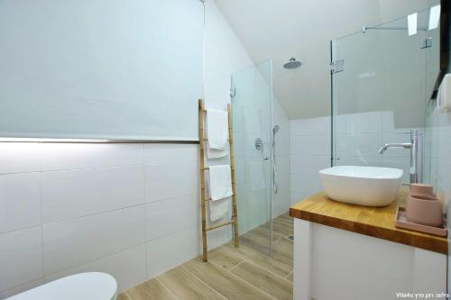 a bathroom with a sink and a glass shower at וילת קסם הזוהר- ניר יפה in Nir Yafe