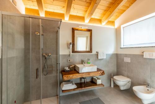 a bathroom with a shower and a sink and a toilet at B & B Il Sottobosco in Val Masino