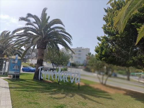 a palm tree in a park with a white fence at "La Cala de Mijas Bright Apartment with Sea Views Near the Beach" in La Cala de Mijas