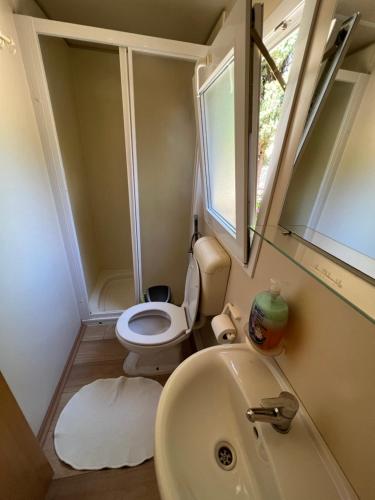 a small bathroom with a toilet and a sink at Apartments and bungalows vila Dalibor in Nin