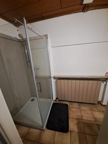 a shower with a glass door in a bathroom at Gartenappartment in Alzenau