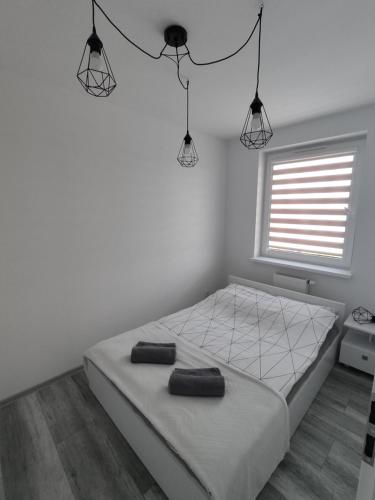 Giường trong phòng chung tại N° 59