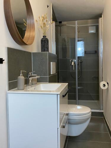 a bathroom with a sink and a toilet and a mirror at Direct Moselle view 200m² 4 SZ 10Pers Terrace in Sankt Aldegund