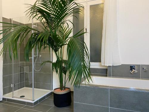 a palm tree in a bathroom with a shower at Direct Moselle view 200m² 4 SZ 10Pers Terrace in Sankt Aldegund