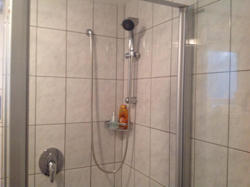 La salle de bains est pourvue d'une douche avec un pommeau de douche. dans l'établissement Desire, à Heidelberg
