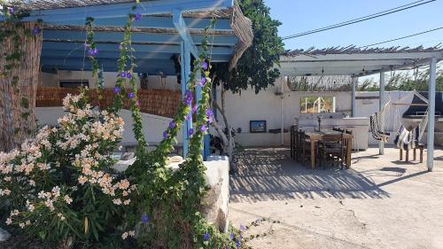 Κήπος έξω από το Little Troll House 2, Golden Beach,