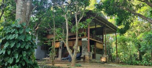 烏達瓦拉維的住宿－叢林別墅旅館，森林中的一个树屋