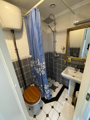 a bathroom with a toilet and a sink at Vikerkaare Villa in Tartu