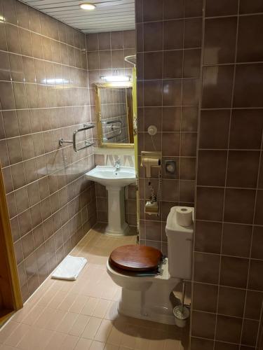 a bathroom with a toilet and a sink at Vikerkaare Villa in Tartu