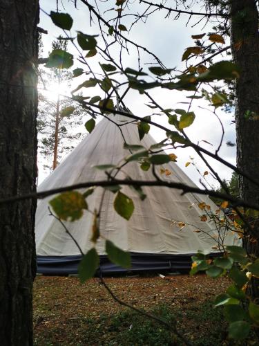 Foto dalla galleria di Min Ája a Karasjok