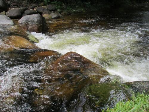 Příroda nedaleko apartmánu