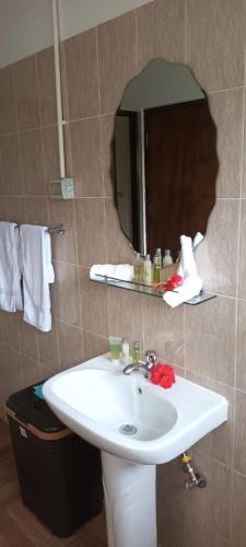 a bathroom with a white sink and a mirror at Sawa self catering in Pointe Au Sel 