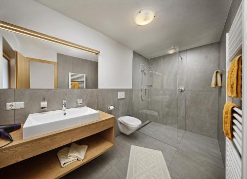 a bathroom with a sink and a toilet and a shower at Garni-Hotel Wiesental in Pfelders