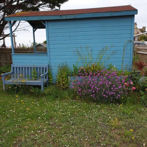 a blue shed with a bench in a yard with flowers at Beachfront Studio in Pevensey