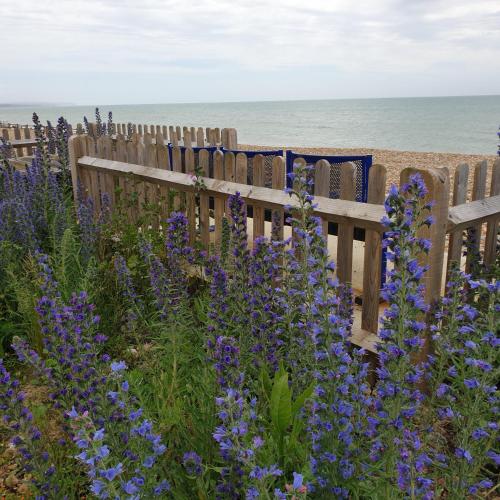 a fence with purple flowers in front of the ocean at Beachfront Studio in Pevensey