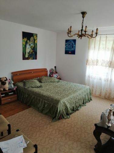 Postel nebo postele na pokoji v ubytování Casa Ilea -Agapia