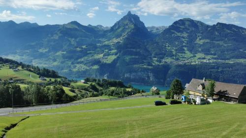 un campo verde con montañas al fondo en Traumhafte Sonnenresidenz mit Berg- und Seeblick, en Amden
