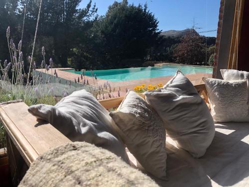 a dog laying on a bench next to pillows at Quinta Ecuador Tandil in Tandil