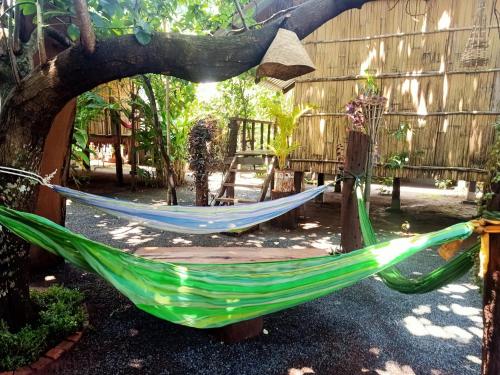 a hammock tied to a tree in a garden at Tribal Village Homestay & Trekking in Banlung