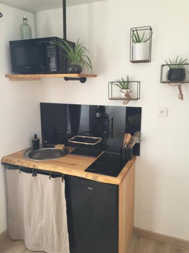 une cuisine avec un comptoir avec un évier et un micro-ondes dans l'établissement Le Georges, à Aiguilhe