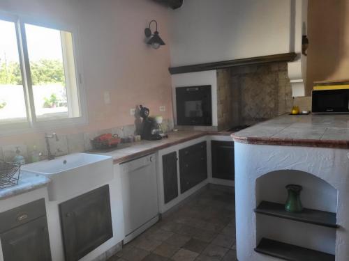 une cuisine avec un évier et un plan de travail dans l'établissement Gitedelea, à Aubignan