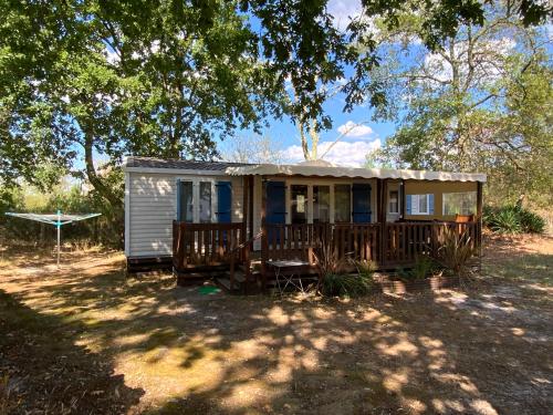 a tiny house in the shade of a tree at Domaine de Labelo in Commensacq