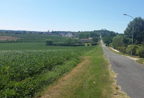 a dirt road next to a field of crops at Superb contemporary 2 bed villa +private pool in Cancon