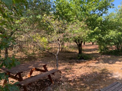 a wooden picnic table in a park with trees at Domaine de Labelo in Commensacq