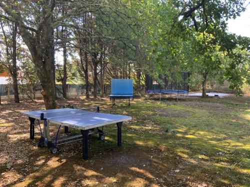 a ping pong table in a park with a blue chair at Domaine de Labelo in Commensacq
