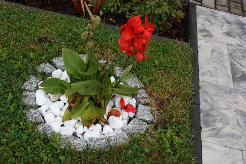 a plant in a rock garden with red flowers at Diamanthaus 3 Koblenz in Koblenz