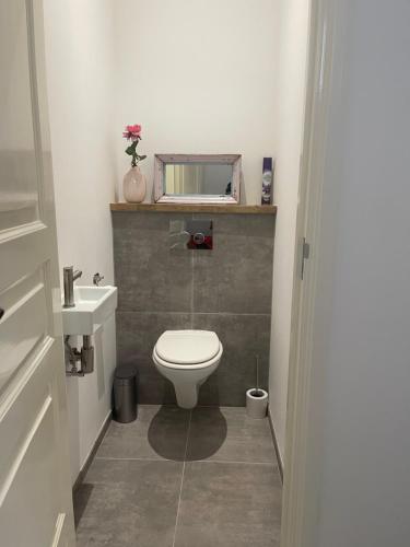 a bathroom with a toilet and a sink at Canal House in Historic City Center Gouda in Gouda