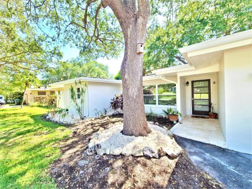 a tree in front of a house at CasaBreeze Cozy Creek House/IRB&Clearwater Beach! in Largo