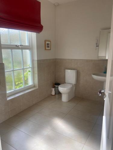 baño con aseo y lavabo y ventana en Redgate House Bed & Breakfast, en Derry Londonderry