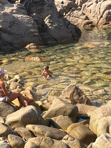 Φυσικό τοπίο κοντά σε αυτό το διαμέρισμα