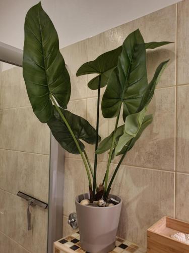 a large green plant in a pot in a bathroom at M Apartments - Downtown 2 in Budapest