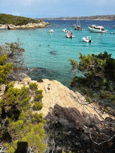 Φυσικό τοπίο κοντά σε αυτό το διαμέρισμα