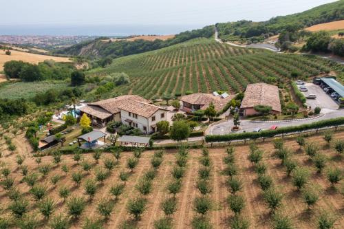 an aerial view of a house in a vineyard at Country House Il Cascinale in Colonnella