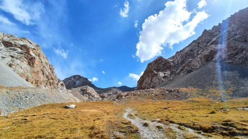 a sheep standing on a hill in the mountains at Naryn Guest House in Naryn