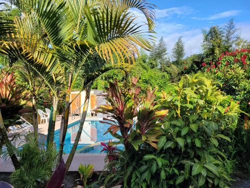 a tropical garden with a swimming pool and plants at Mindo GlamBird Glamping & Lodge in Mindo
