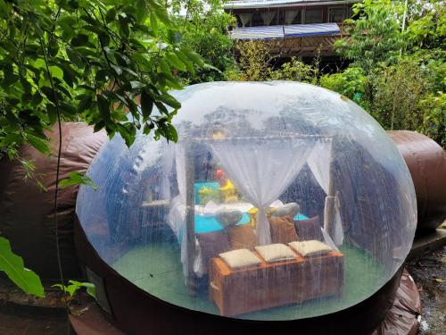 a glass dome with a house inside of it at Mindo GlamBird Glamping & Lodge in Mindo